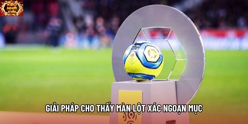 Giải pháp cho thấy màn lột xác ngoạn mục