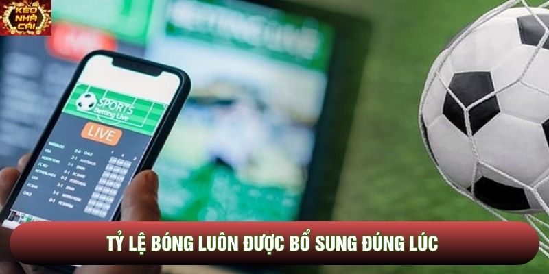 Tỷ lệ bóng luôn được bổ sung đúng lúc