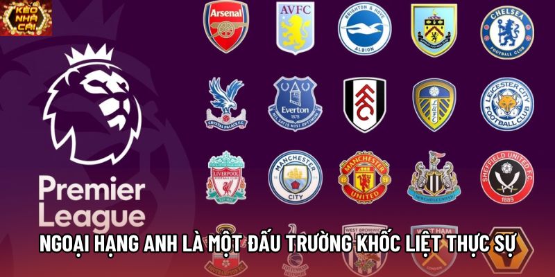 Ngoại hạng Anh là một đấu trường khốc liệt thực sự